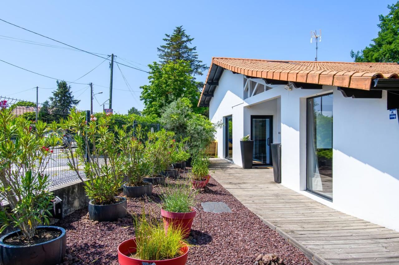 Landescape Ocean, Lacs Et Foret. Biscarrosse Exterior photo